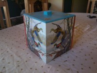 /album/artesanias-camy/caja-de-regalo-o-galleteros-5-800-por-unidad-jpg/